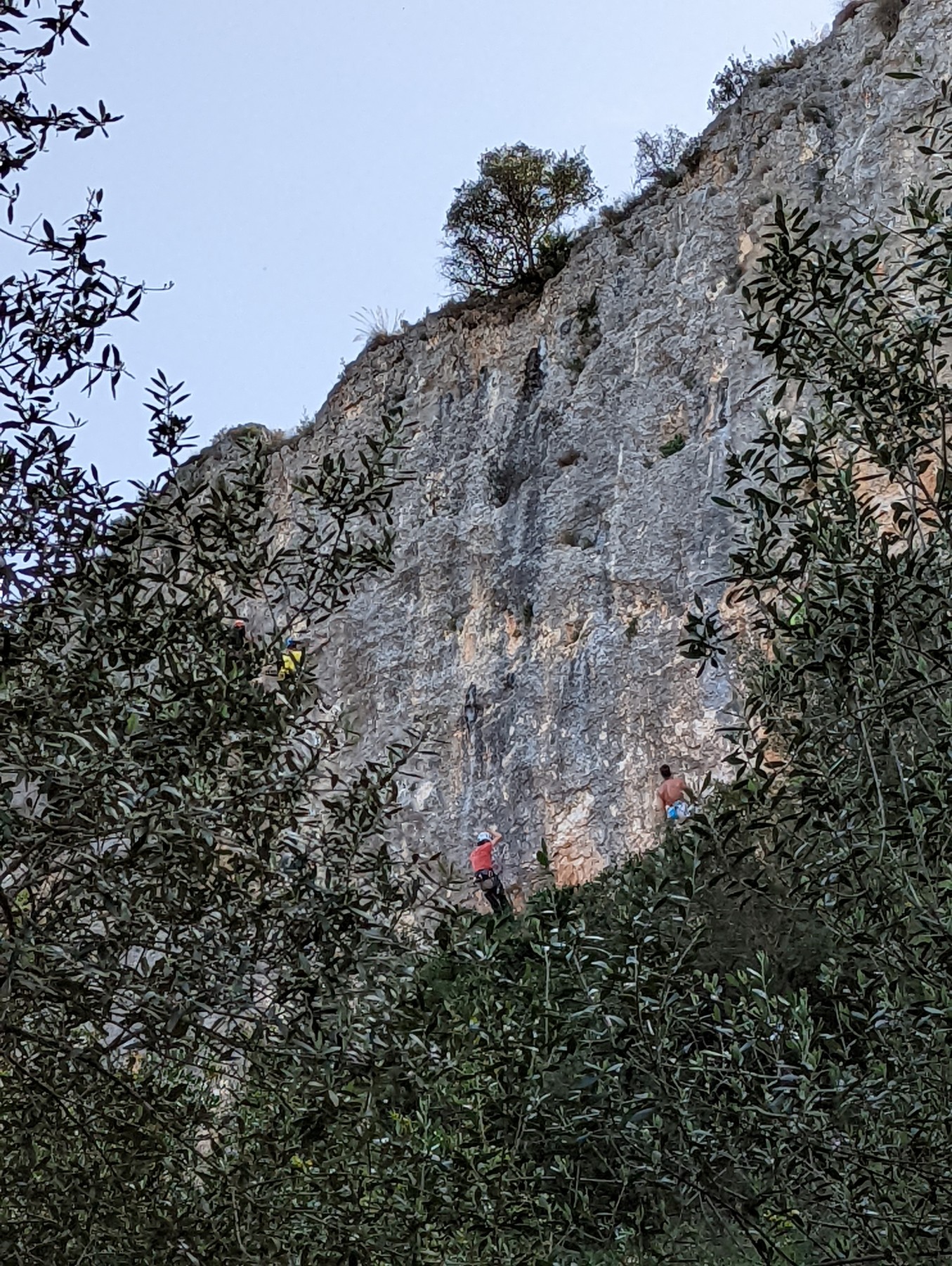 climbing