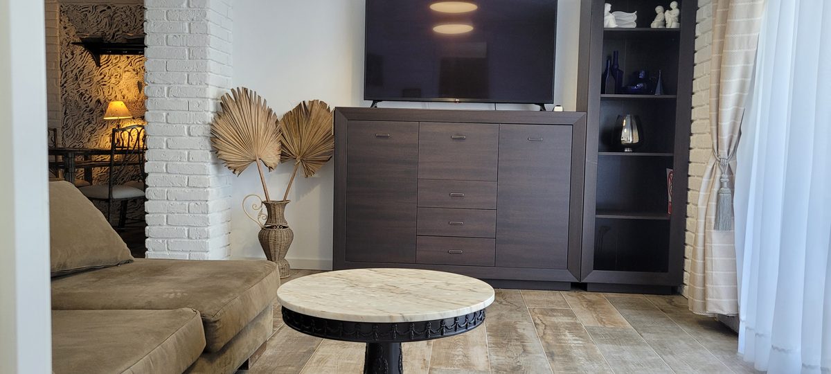 Apartment 4 living room