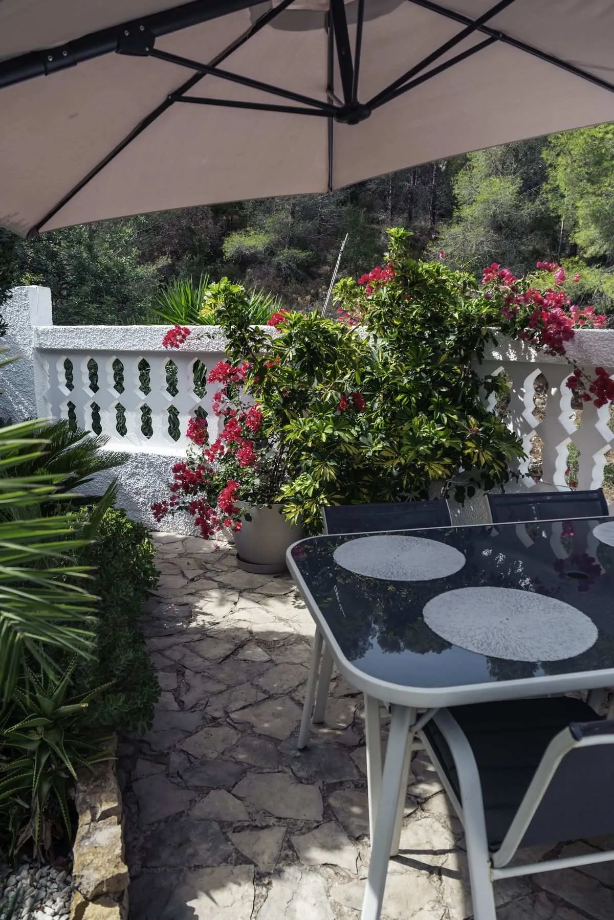 Studio 4 garden