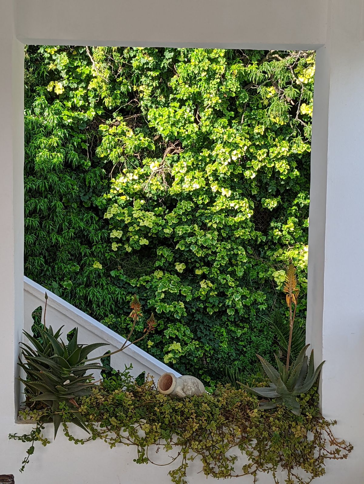 Apartamento Milka — garden view