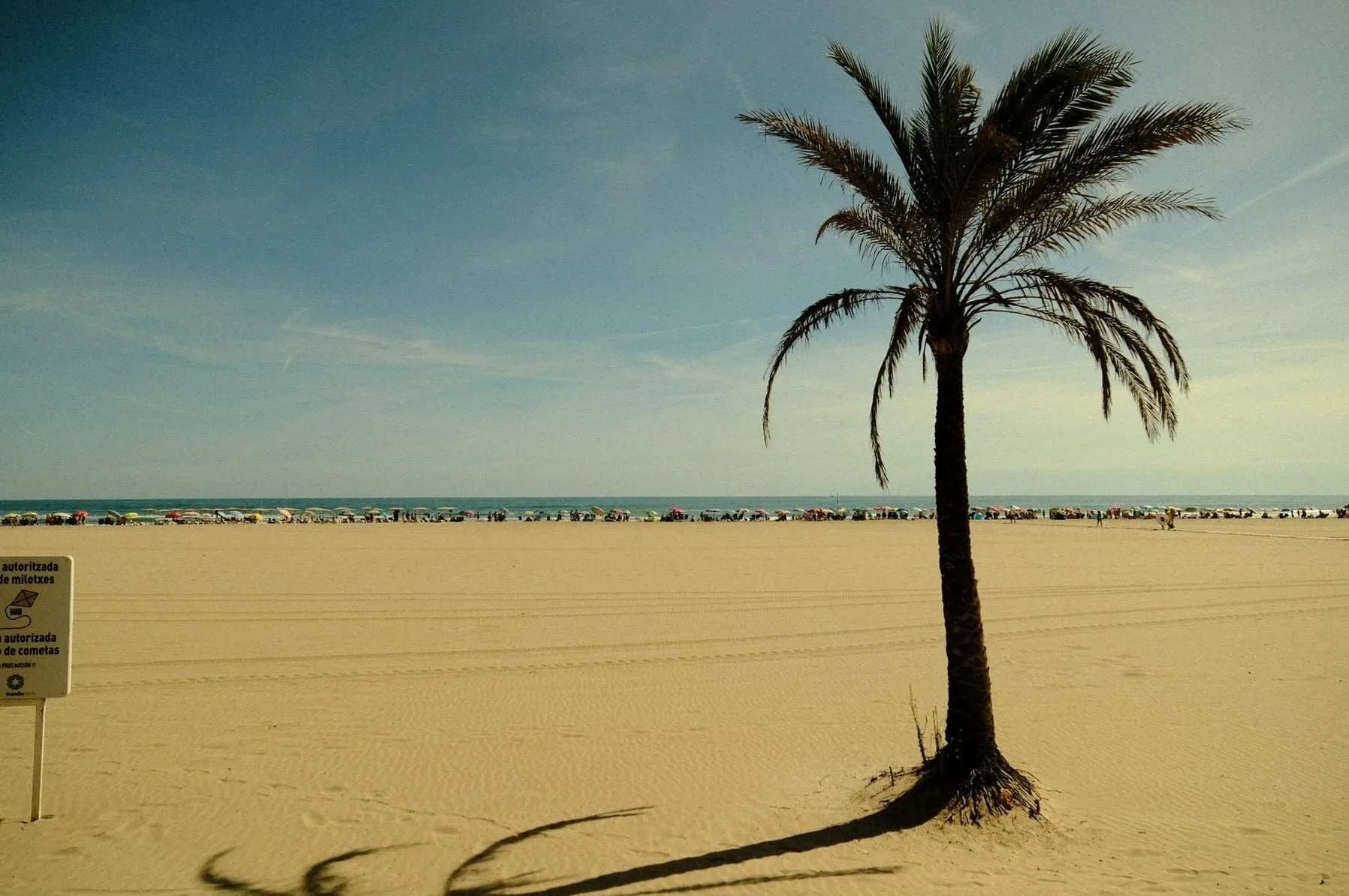 beach