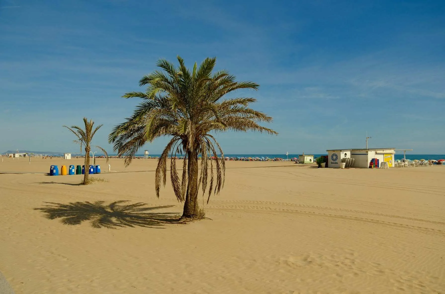 beach