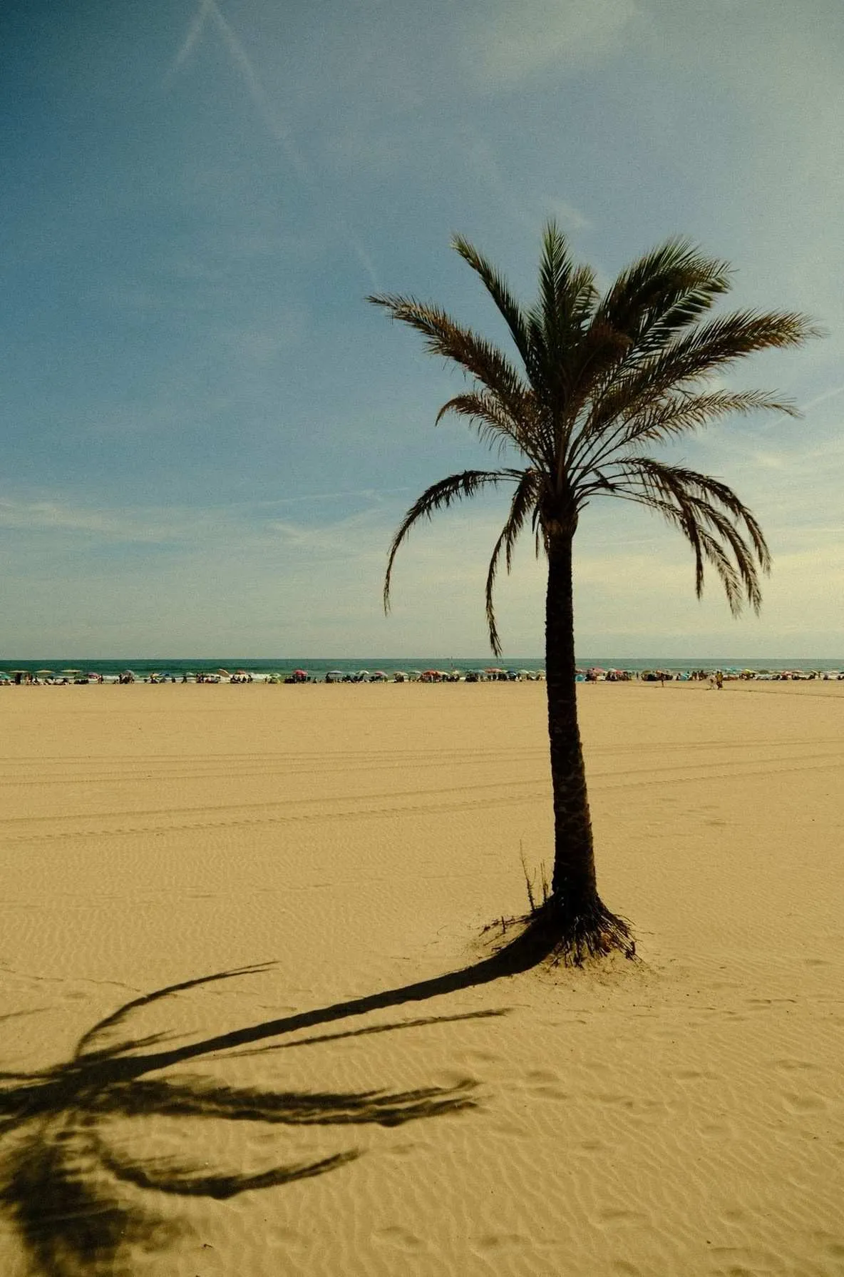 beach