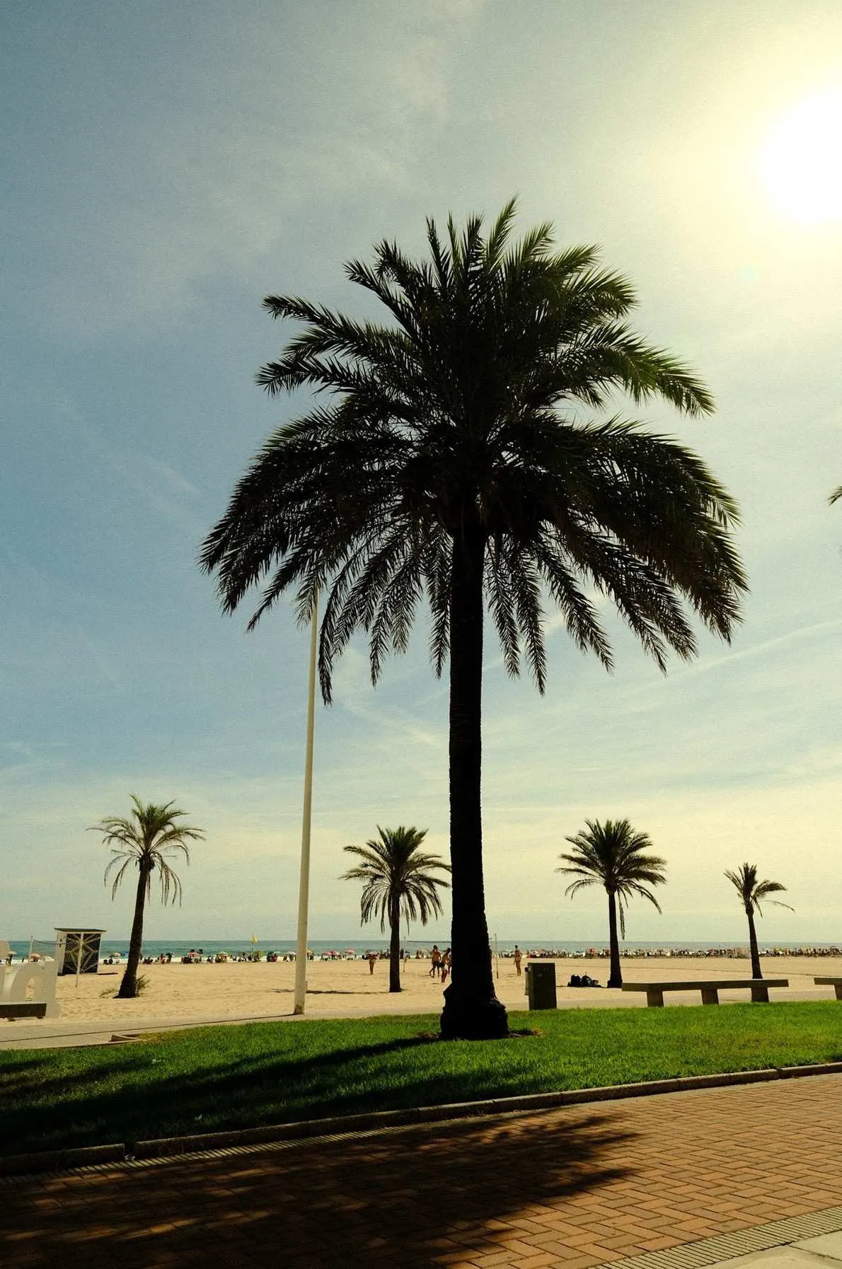 beach