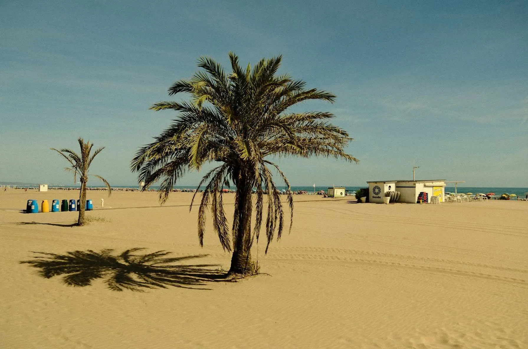 beach