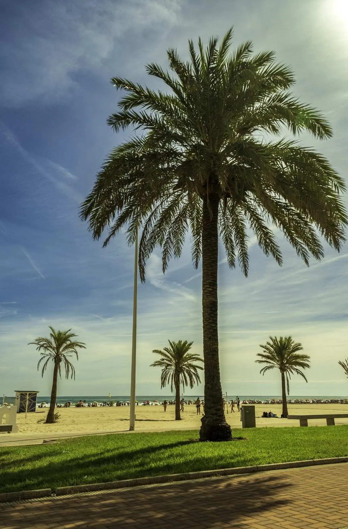 beach